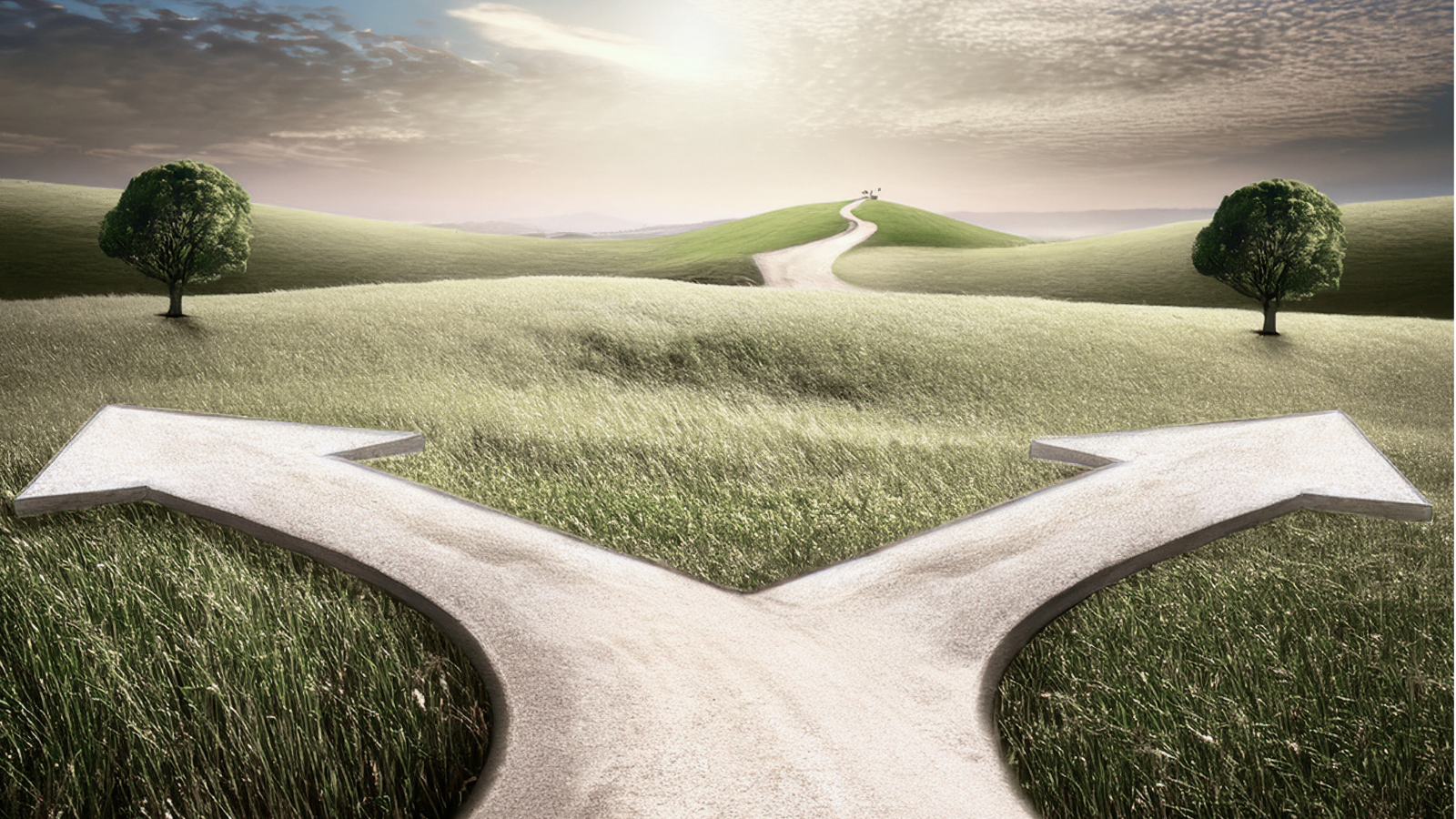 70% of students don't know where to start